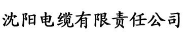 无码一区二区三区亚洲人妻电缆厂logo